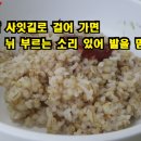 보리밥사잇길 이미지