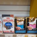 송하동물병원 이미지