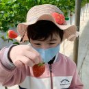 명화농장 이미지