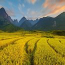 봉천 한의원 이미지