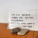 선유도에 물들다 이미지