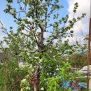 승모농장 이미지