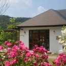 여주-1141 이미지