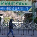 보라매동-19 이미지