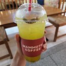 매머드커피상암DDMC점