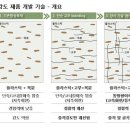 [우수제품소개]친환경합성목재_웹스 제품 이미지