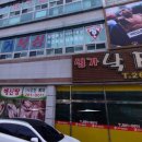팀라이거복싱 이미지