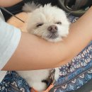 푼타하우스 이미지