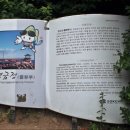 묵호골재 네이버블로그