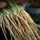 이선호농장 이미지