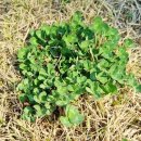 중앙한방병원 이미지