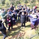 투어 팜(TOUR FARM) 이미지