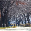 오학 걷고싶은거리 이미지