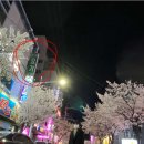 요가라이프 이미지