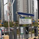 로즈마리플라워 | 화성로컬플라워 직매장 솔직 후기(내돈내산, 주차, 꽃 종류, 가격, 모종, 꽃다발 저렴한 곳)