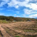 보광2리 이미지