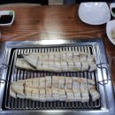 서해장어