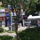 서면메트로약국 이미지