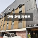 엘르고양