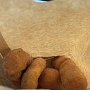 백한철꽈배기&식빵 이미지