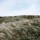 은빛추억 이미지