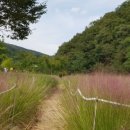 동호유적근린공원 이미지