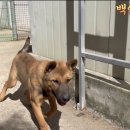 구름이 이미지