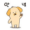 딜라이트짐 이미지
