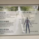 (주)쎄이엠 이미지