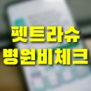 펫트라슈 동물병원 가격비교 어플 보호자 필수템