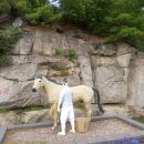 세마지 이미지