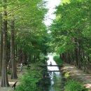 산림과환경 이미지