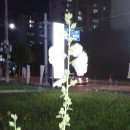 여의도중학교 이미지