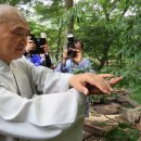 밀양 표충사, 국내 최초 천연기념물 제496호 비단벌레 자연방사 이미지