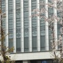 춘천개인택시가스충전소 | 4월 태백, 삼척 여행기 (벚꽃캠핑 막차탑승)