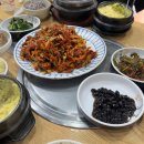 첼로커피호프