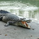 자연친화코스1 이미지