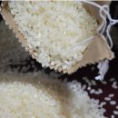 가락농협하나로마트 이미지