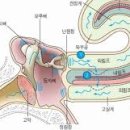 생기나라한의원 이미지