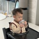 도현목장 네이버블로그