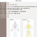 척수 공동증(syringomyelia)의 new treatment concept 이미지