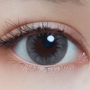 그레이디어 이미지