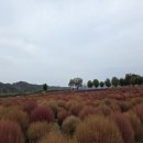 GS25 호원스타일점 이미지