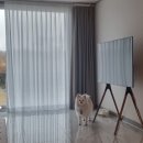 백화stay | [숙소]백화stay, ilo펜션 :: 제주 반려견동반 독채펜션 두 곳 후기