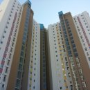 강릉 지구부동산 공인중개사사무소 이미지