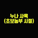 누나농장 이미지