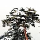 대전성모여자고등학교 이미지