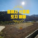 동해자이공인중개사사무소 이미지