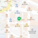 갤마쥬애견미용학원