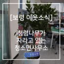 청소면사무소 이미지